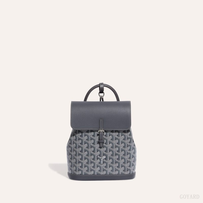 Goyard Alpin Mini Backpack Grå | VVCP0342