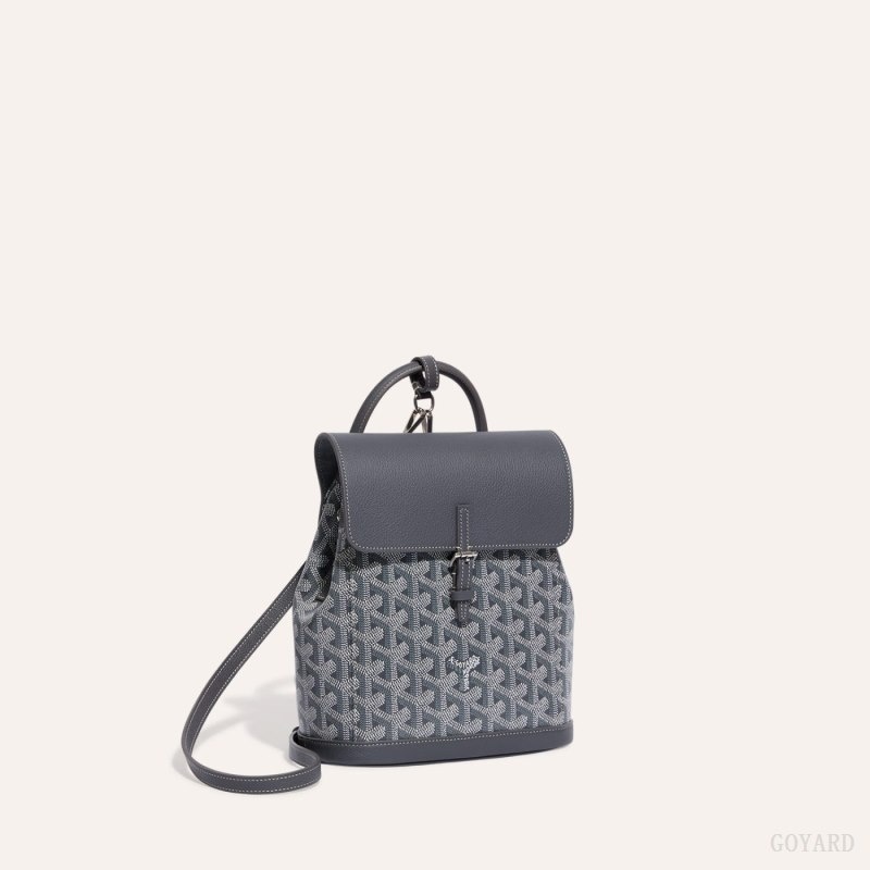 Goyard Alpin Mini Backpack Grå | VVCP0342