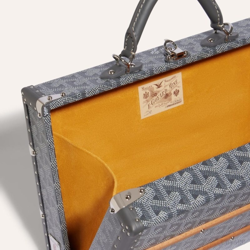 Goyard PALACE MM TRUNK BAG Grå | XIRD2625